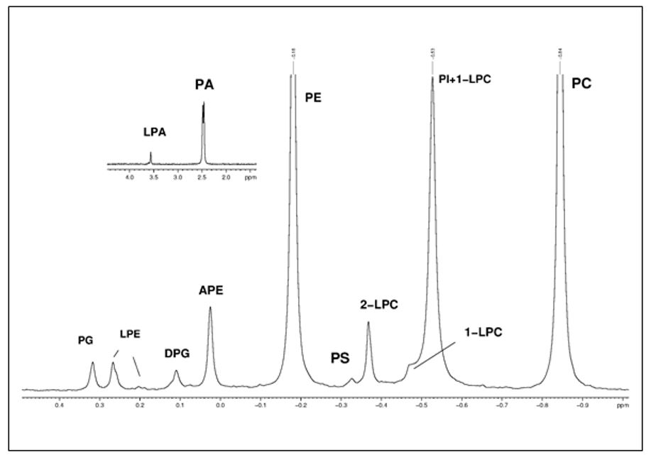 Analysis of Phospholipids by NMR-Spectroscopy | Steelyard Analytics, Inc.