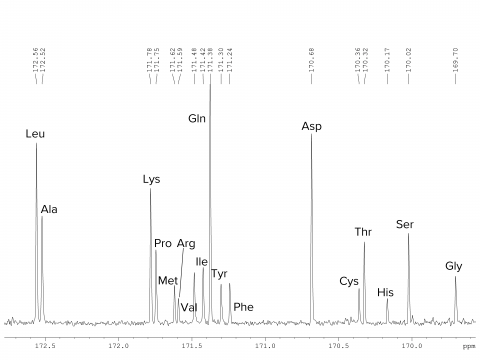 13C NMR analysis of peptides and amino acids | Steelyard Analytics, Inc.